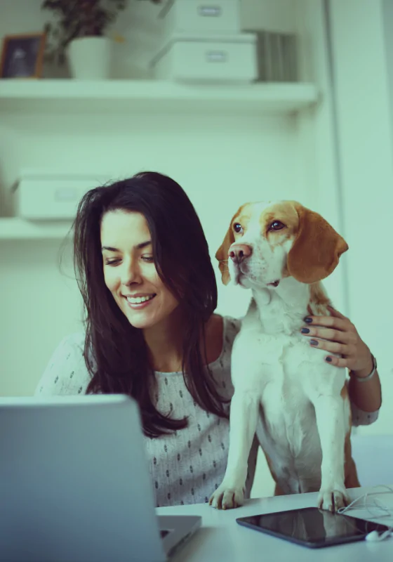 Znamy cenę szczęścia w biurze – wystarczy jeden pies