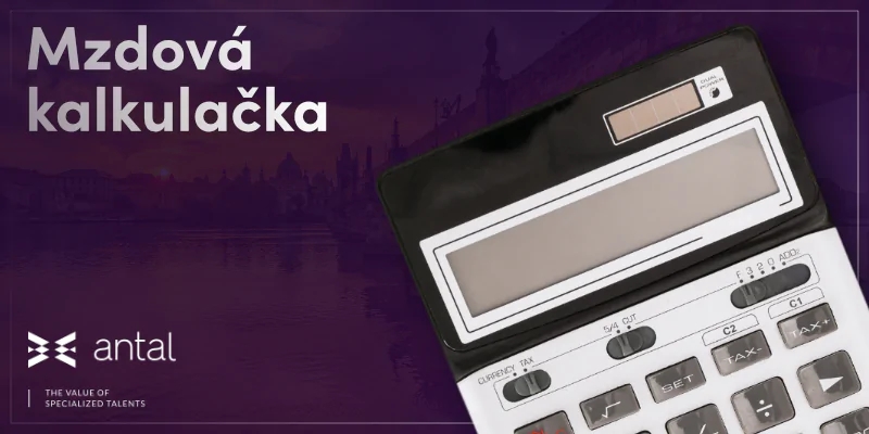 Mzdová kalkulačka Antal je tu!