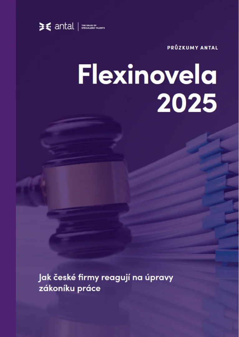 Flexinovela a její dopady na pracovní trh v Česku: výsledky průzkumu